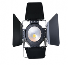 ĐÈN COB LED - COB LED 2IN1 CW+WW KALE – CHINA