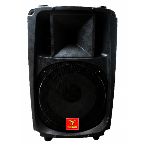 S -12 TRUE VOICE
