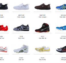 Giầy chuyên dụng